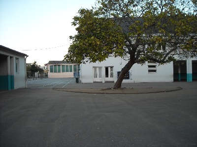 cour_catalpa