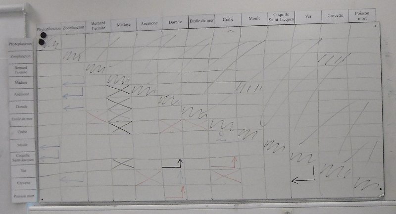 aquarium_tableau2
