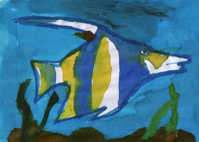 petit_poisson11