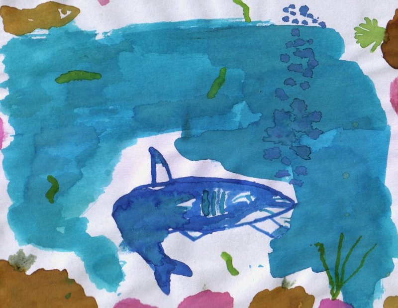 petit_poisson15