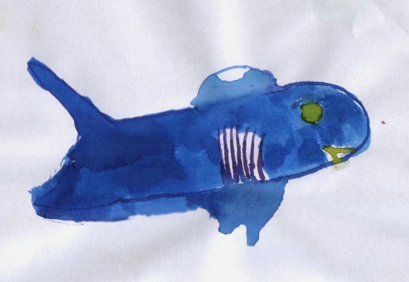 petit_poisson7