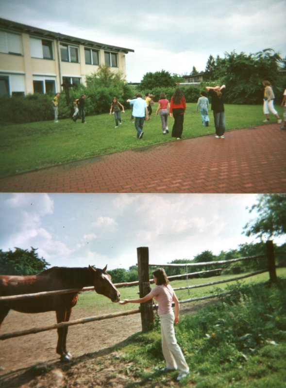 felicie_photos2