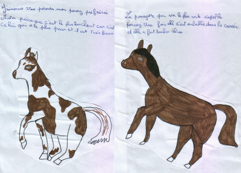 expose_poneys_lea2