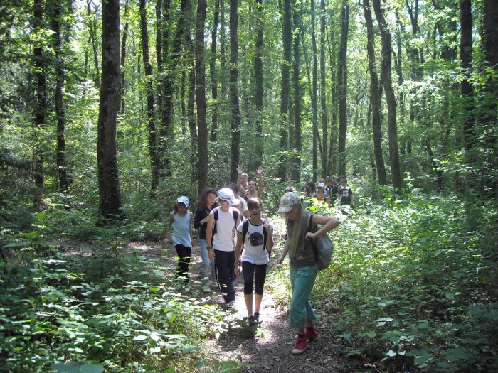 orientation_vilodeni9