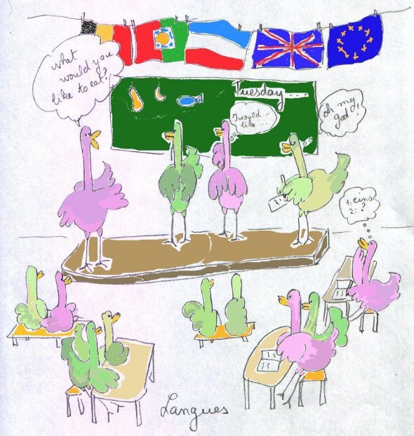 autruches_langues