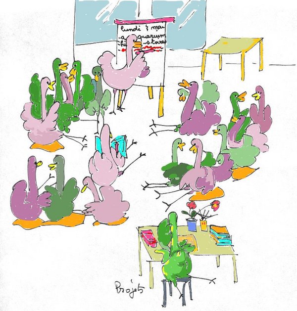 autruches_projets