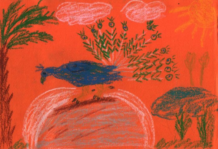 euro_ecole_carnet_paon_de_cascais