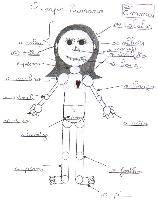 euro_ecole_o_corpo_humano