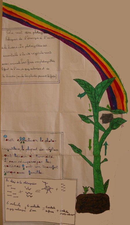 jardin_photosynthese