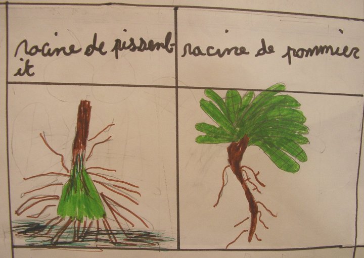 jardin_racines_1