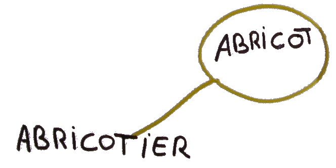 mots_migrateurs_familles_abricot
