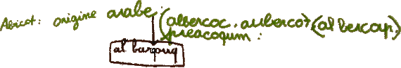 mots_migrateurs_origines_abricot