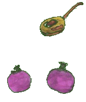 re_ecosse2